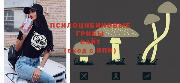 прущие грибы Армянск