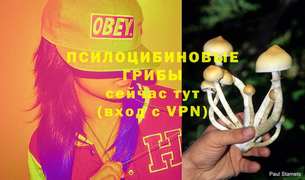 ГАЛЛЮЦИНОГЕННЫЕ ГРИБЫ Баксан