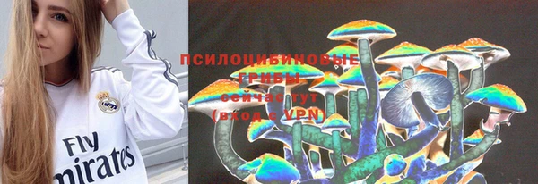 стафф Семилуки