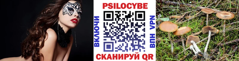 где купить   Свирск  Псилоцибиновые грибы мицелий 