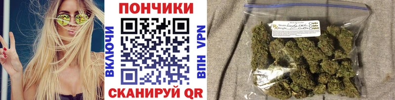 купить наркотик  Свирск  KRAKEN сайт  Бошки Шишки OG Kush 